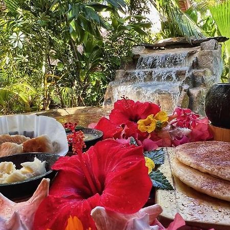 Chalet Tropical Hotel & Restaurant-Pizzeria Las Galeras Ngoại thất bức ảnh