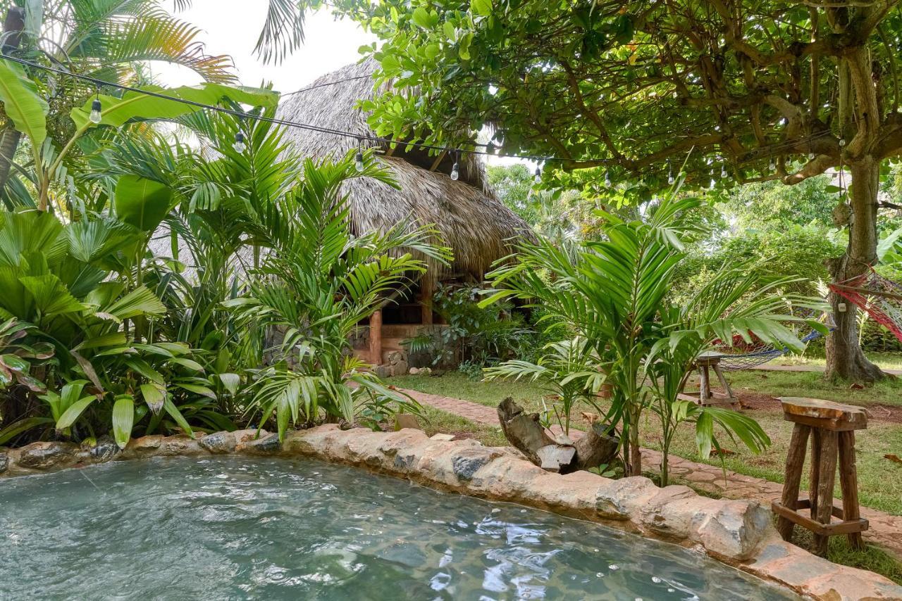 Chalet Tropical Hotel & Restaurant-Pizzeria Las Galeras Ngoại thất bức ảnh