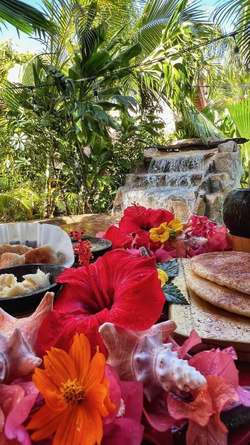 Chalet Tropical Hotel & Restaurant-Pizzeria Las Galeras Ngoại thất bức ảnh